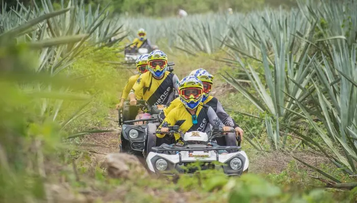 ATVs & Cenote Swim with Lunch (Driver & Passenger) shore excursion in Progreso, Mexico