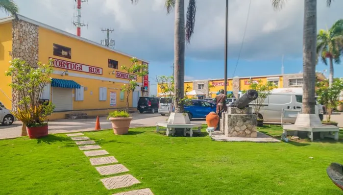 Rum Cake, Panoramic Views & Local Bites shore excursion in Grand Cayman