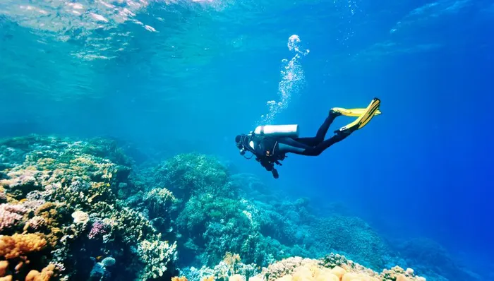 Beginner Scuba Diving shore excursion in Cozumel, Mexico