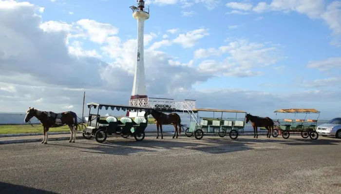 Caribbean Time Horse-Drawn Trolley Ride shore excursion in Belize City, Belize