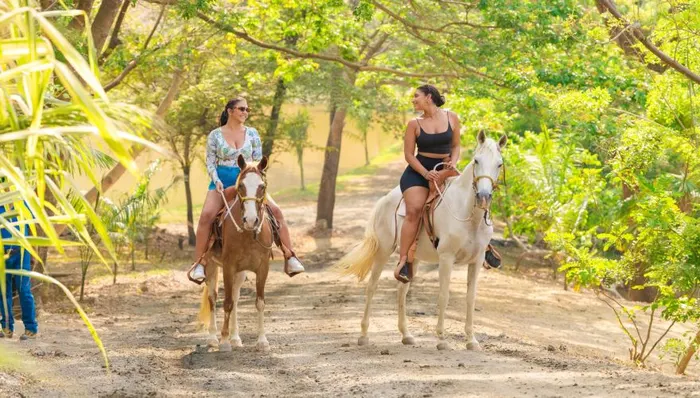 Horseback Riding + All-Inclusive Beach at Turquoise Bay shore excursion in Roatán, Honduras