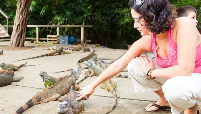 Discover Roatán - Monkeys, Sloths & Macaws shore excursion in Roatán, Honduras